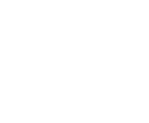 logo-sqt